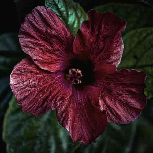 حسین عاشقی خیابونا